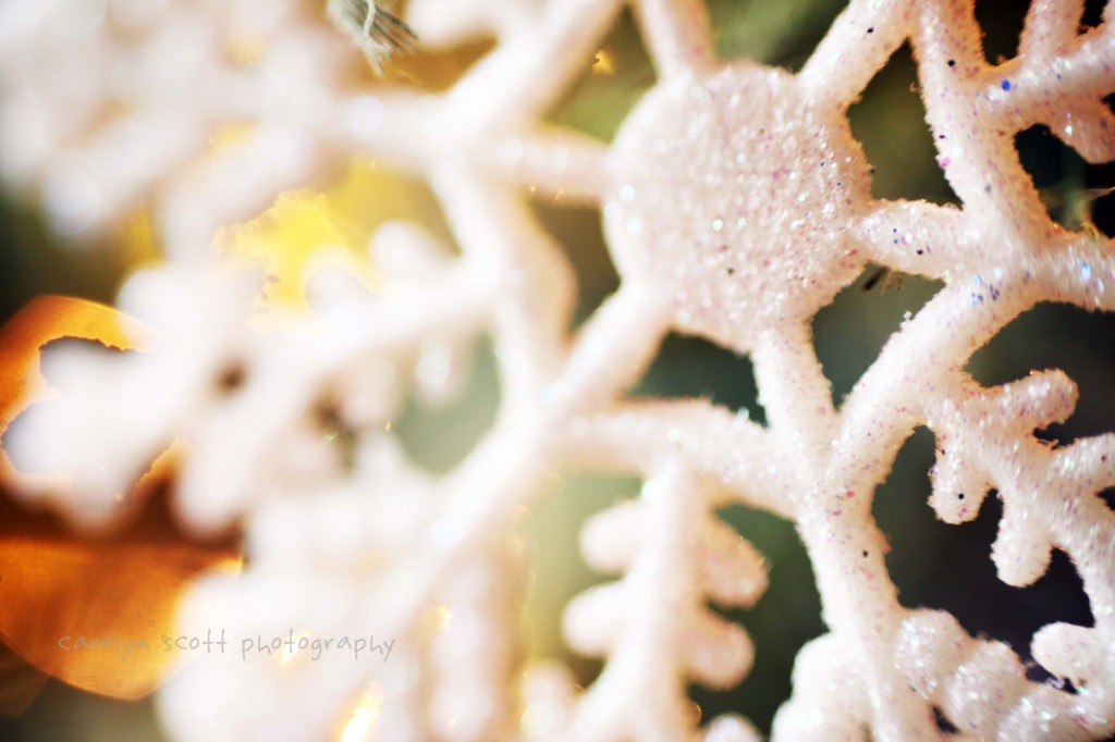 xmas3 xmas3