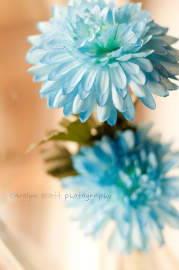 flowers flowers