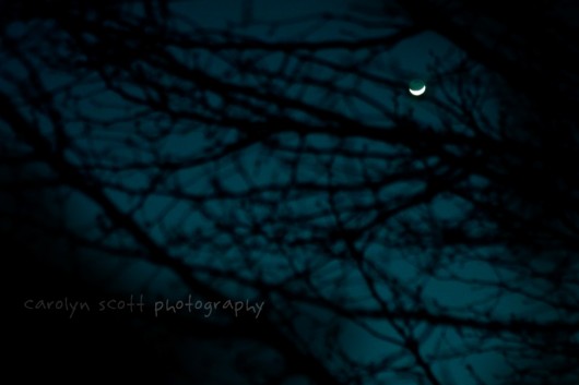 moonbeam moonbeam