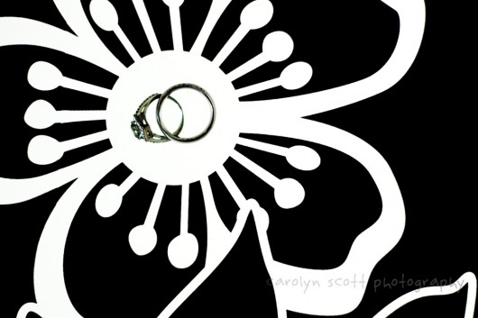 IMG_2316 IMG_2316