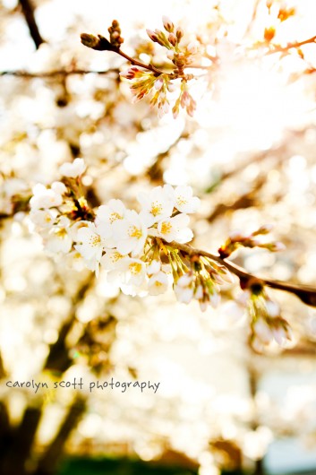 IMG_3073 IMG_3073