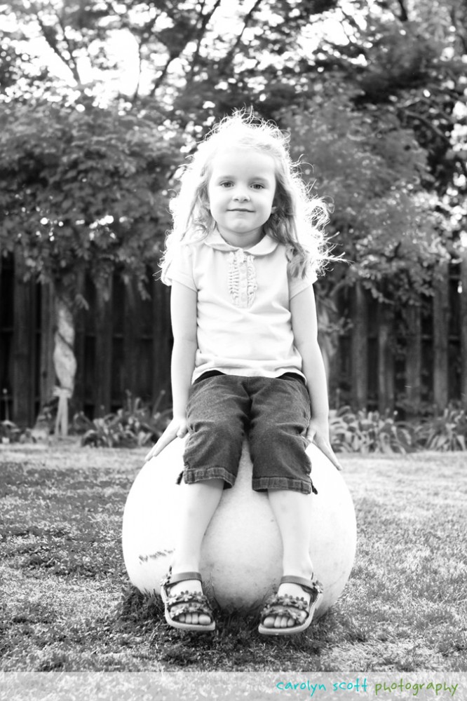 photography contest photography contest
