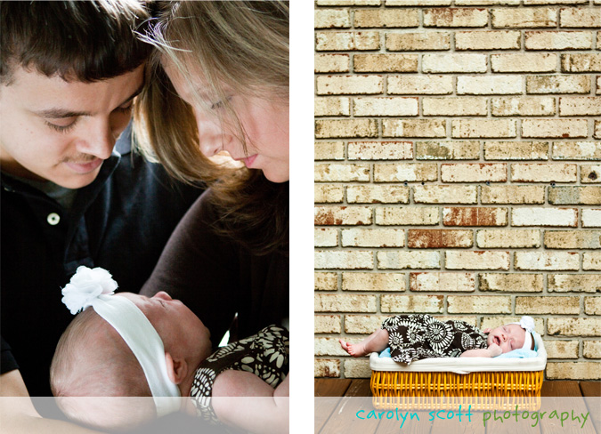 raleigh family photographer raleigh family photographer