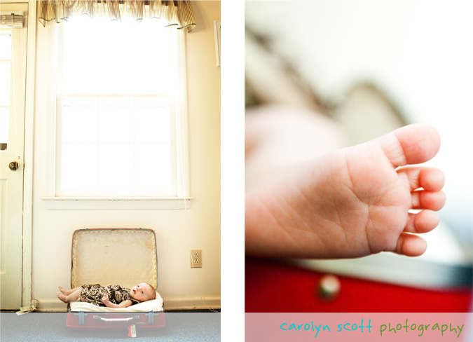 raleigh baby photographer raleigh baby photographer