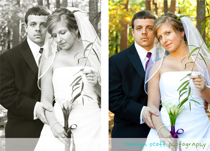 raleigh wedding photographers wedding portraits