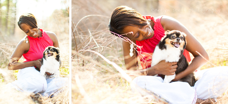 dog photographer raleigh nc dog photographer raleigh nc