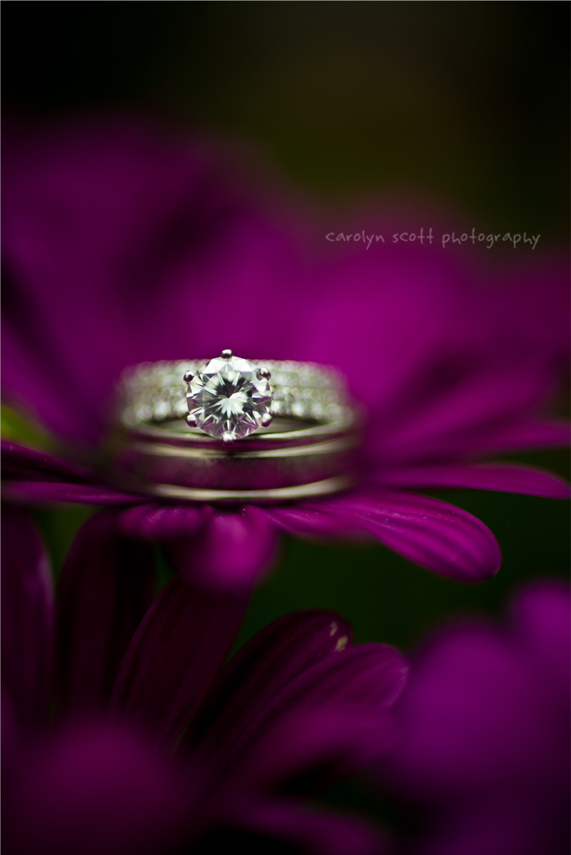purple and green wedding ring shot purple and green wedding ring shot