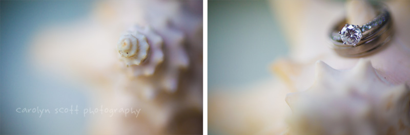 seashell wedding ring seashell wedding ring