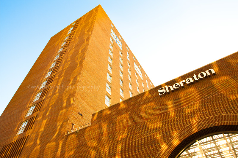 Raleigh Sheraton hotel Raleigh Sheraton hotel
