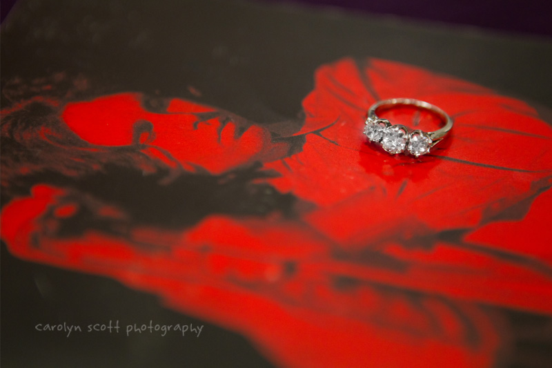 Raleigh Engagement Photographer (23)