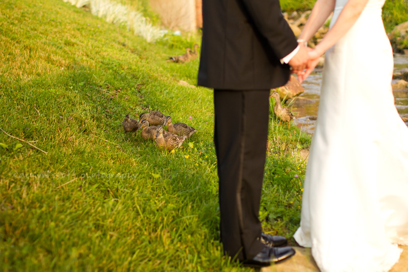 Morgantown Wedding Photographer (30)