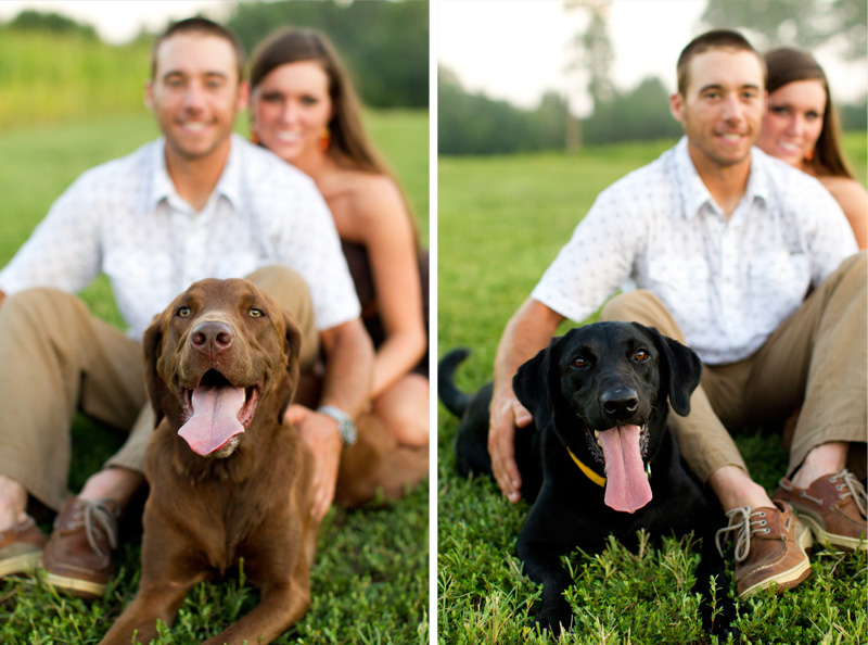 Raleigh Pet Photographer