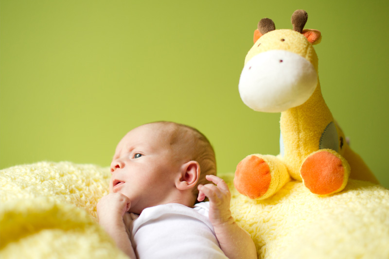 Raleigh Portrait Photographer (2)