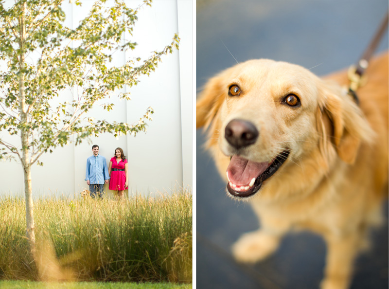 Raleigh Dog Photographer