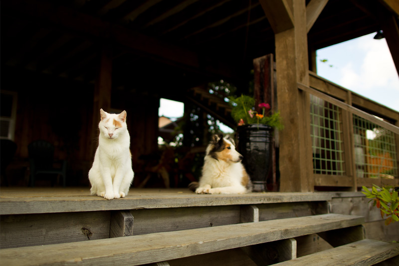Lingrow Farm Wedding (7)
