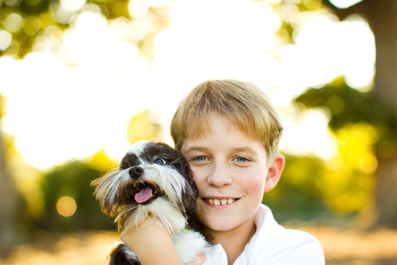 Raleigh Pet Photographer (9)