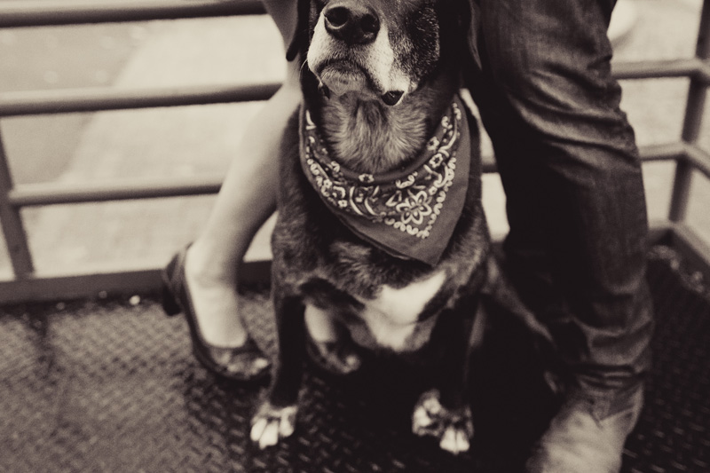Raleigh Engagement Photographer (4)