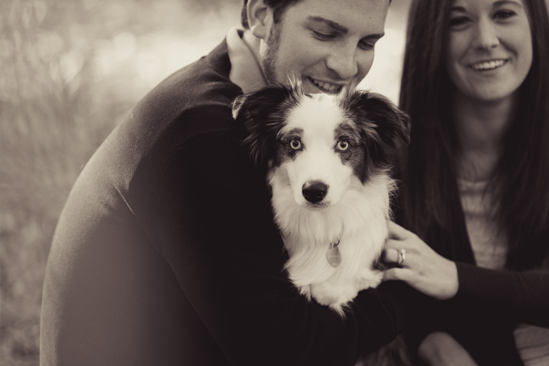 Raleigh Portrait and Pet Photographer (1)