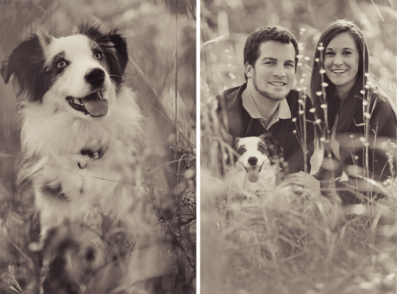 Raleigh Portrait and Pet Photographer (11)