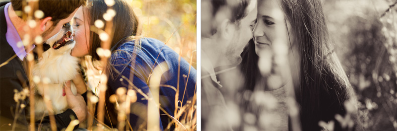 Raleigh Portrait and Pet Photographer (14)