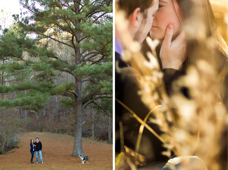 Raleigh Portrait and Pet Photographer (15)
