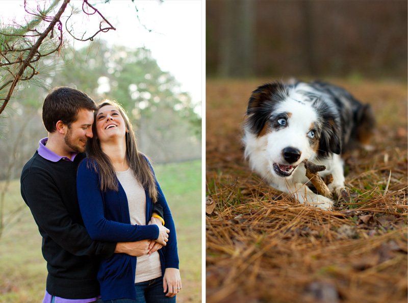 Raleigh Portrait and Pet Photographer (21)