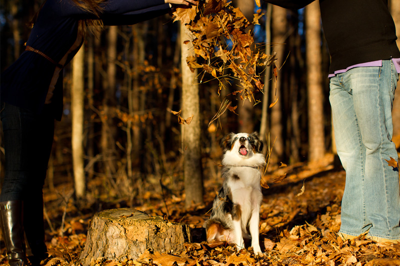 Raleigh Portrait and Pet Photographer (27)