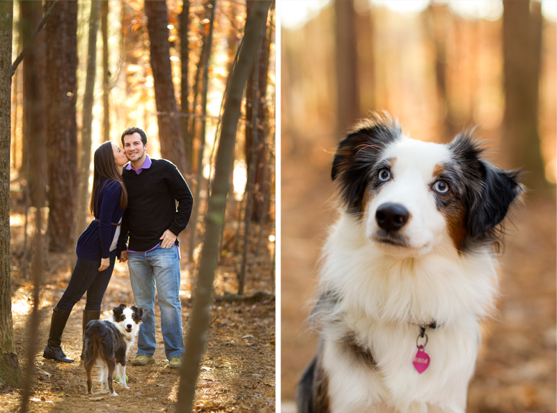 Raleigh Portrait and Pet Photographer (3)