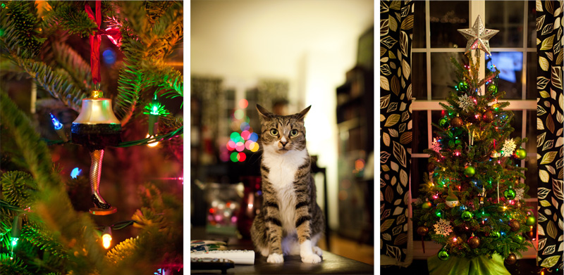 Happy Holidays from CSP (5)