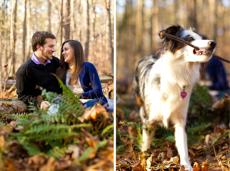 Raleigh Portrait and Pet Photographer (6)