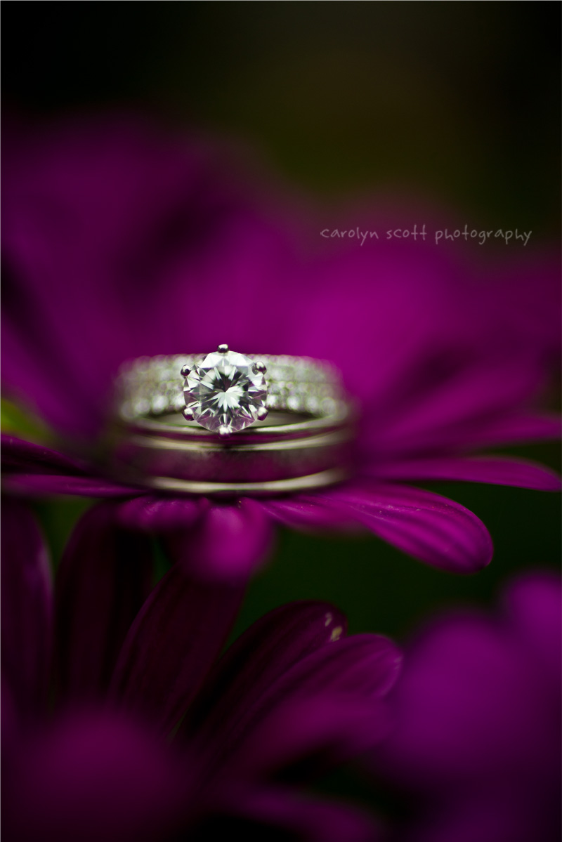 purple and green wedding ring shot