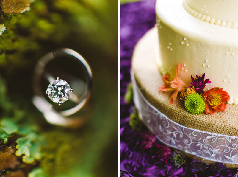 North Carolina backyard wedding (11)