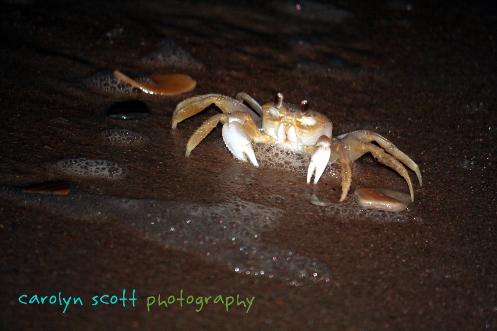crab-copy