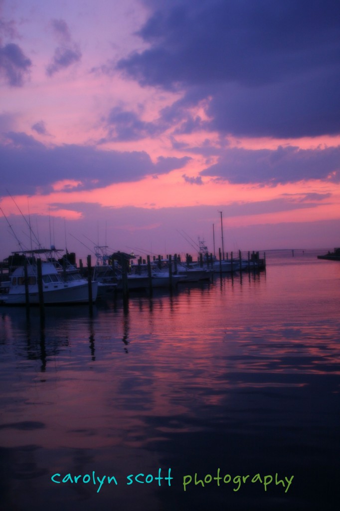 dock3-copy dock3-copy