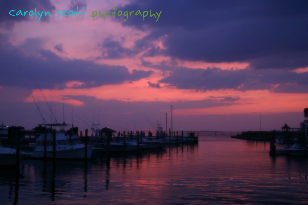 dock4-copy dock4-copy