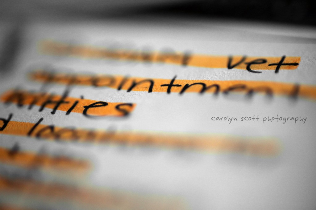 lists lists