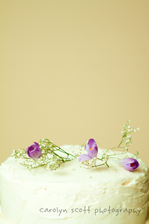 Wedding Cake 0258