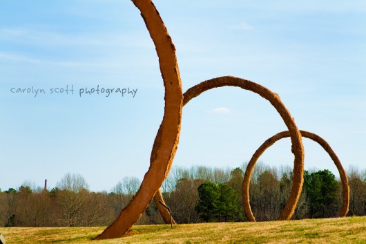 north carolina museum of art