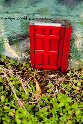 little red door