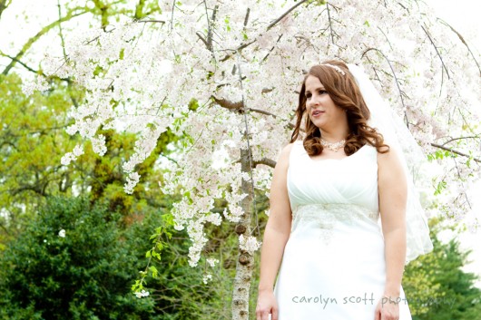 raleigh wedding photographer raleigh wedding photographer