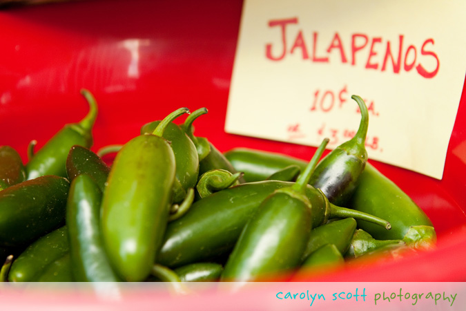 downtown raleigh farmers market