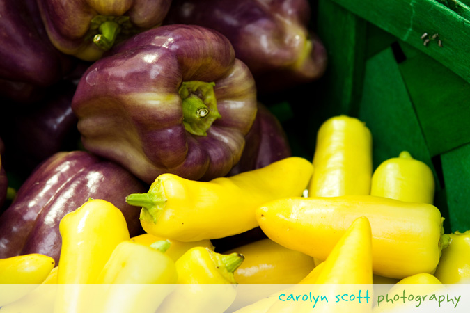 downtown raleigh farmers market