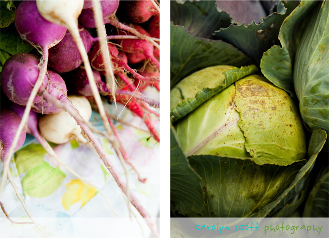 downtown raleigh farmers market