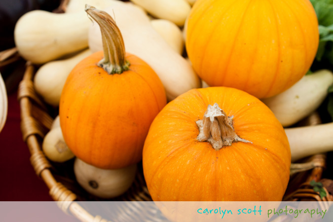 pumpkins farmers market