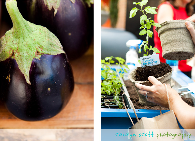 toyota farm to table tour