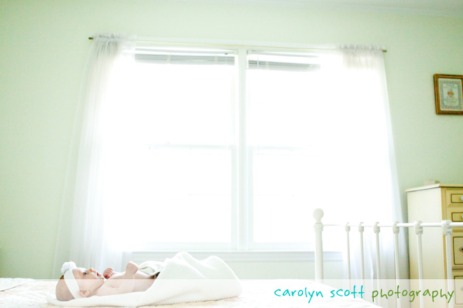 raleigh newborn photographer raleigh newborn photographer
