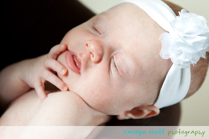 raleigh newborn photographer