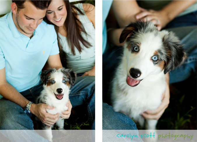 raleigh portrait photographer raleigh portrait photographer