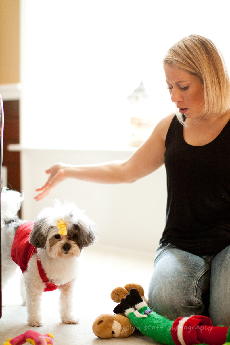 raleigh pet photographer raleigh pet photographer