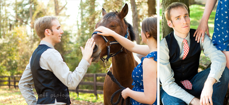 horse portraits